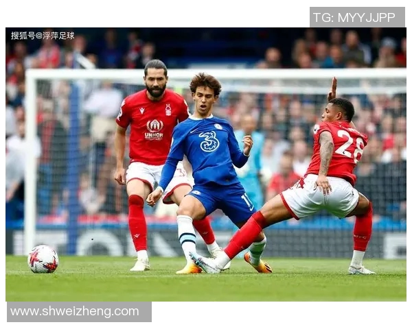 历史五十位最具影响力足球明星全景回顾与成就分析